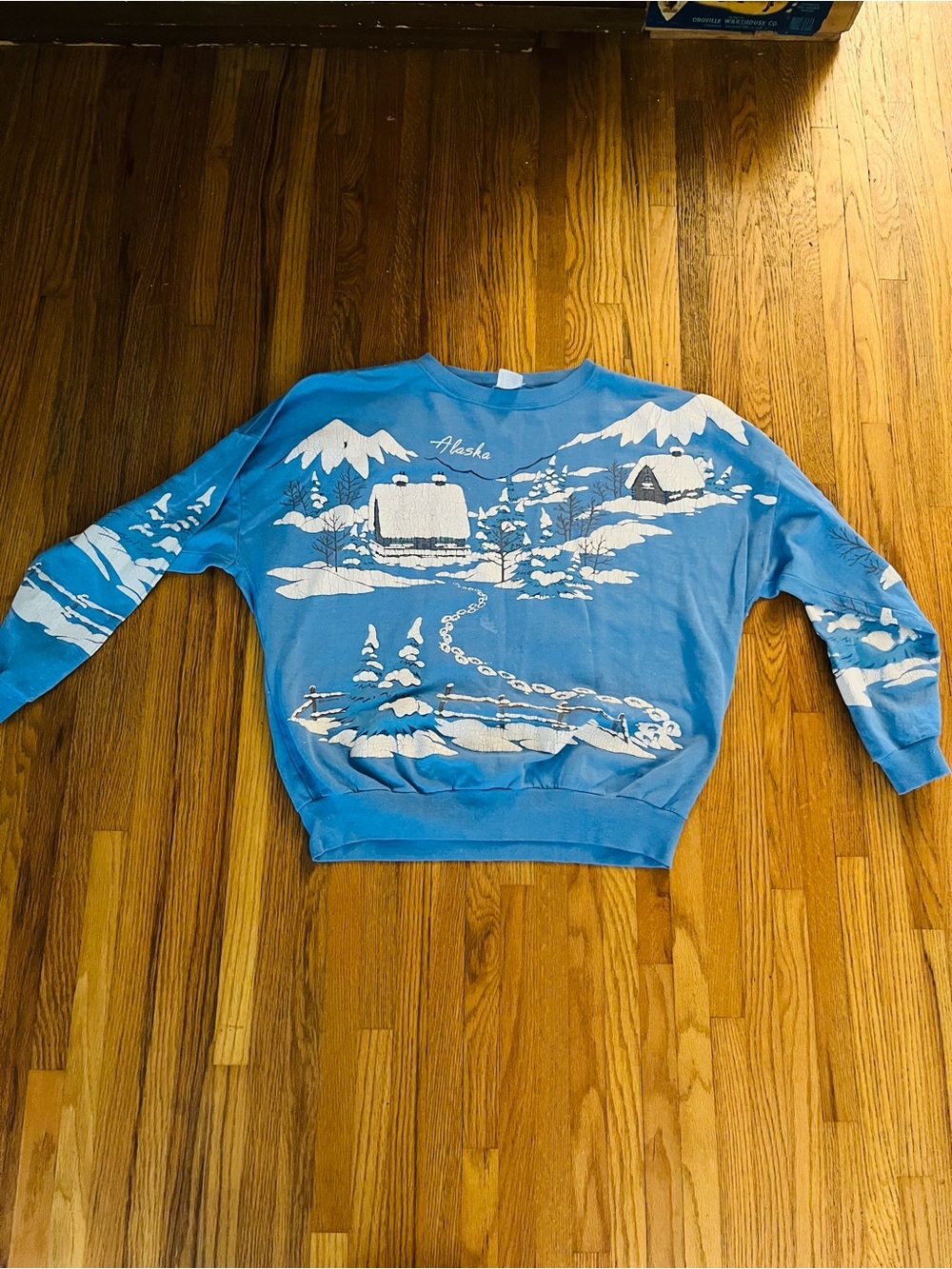 Vintage sweatshirt with White Alaska Scenic Print